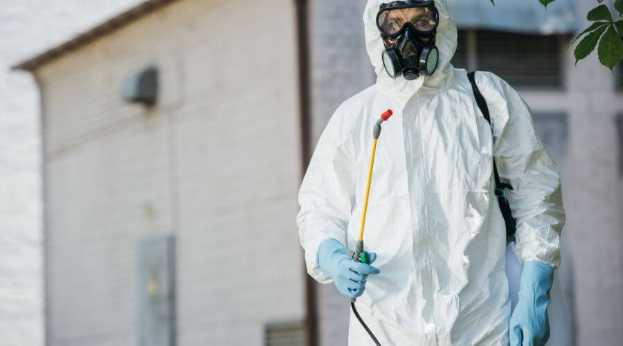 Professional pest control gilbert az services in Gilbert
